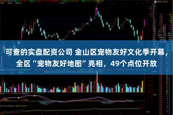 可查的实盘配资公司 金山区宠物友好文化季开幕，全区“宠物友好地图”亮相，49个点位开放