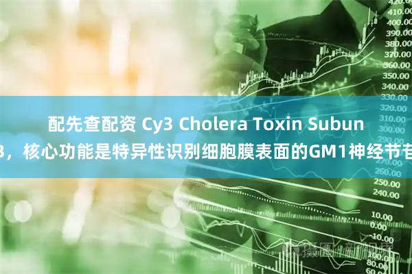 配先查配资 Cy3 Cholera Toxin Subunit B，核心功能是特异性识别细胞膜表面的GM1神经节苷脂