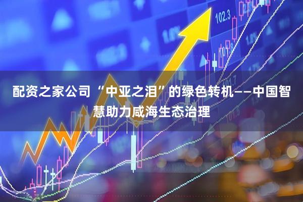 配资之家公司 “中亚之泪”的绿色转机——中国智慧助力咸海生态治理